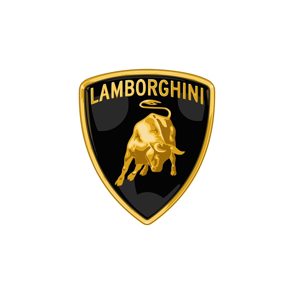 לוגו למבורגיני- חלקי חילוף שידרוגים